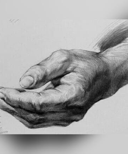 揭秘成人素描课程TOP10排名，最佳学习平台与素描课程全解析