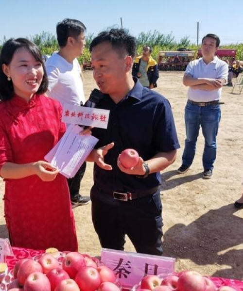 揭秘新闻头条背后的真相，站长揭露内幕与反思
