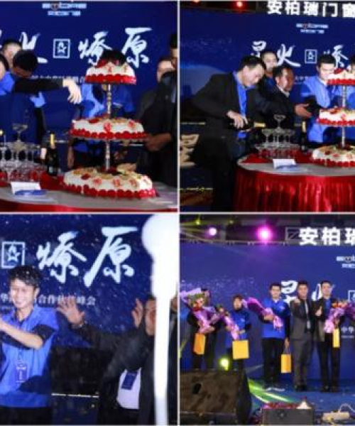 燎原神秘之旅，深度攻略，带你探索未知之地