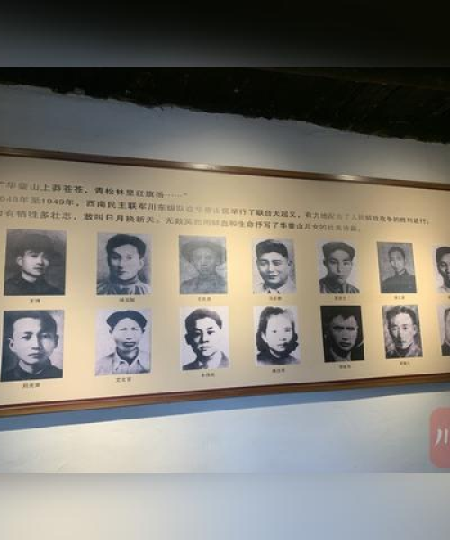 广安松针产业新动态，探索松针产业蓬勃发展之路