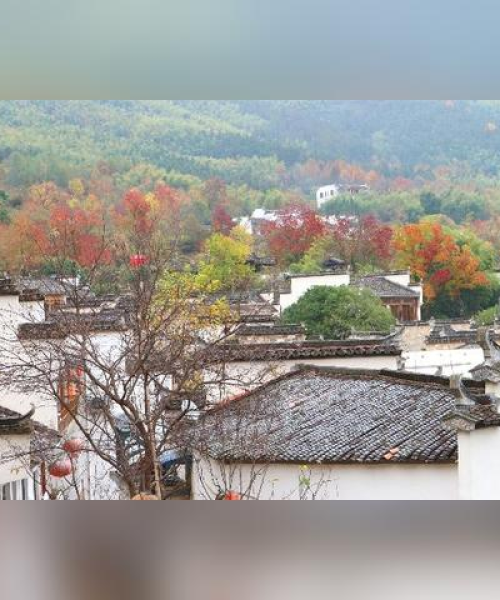 杨家寨门票攻略揭秘，探索未知，畅游美景新体验