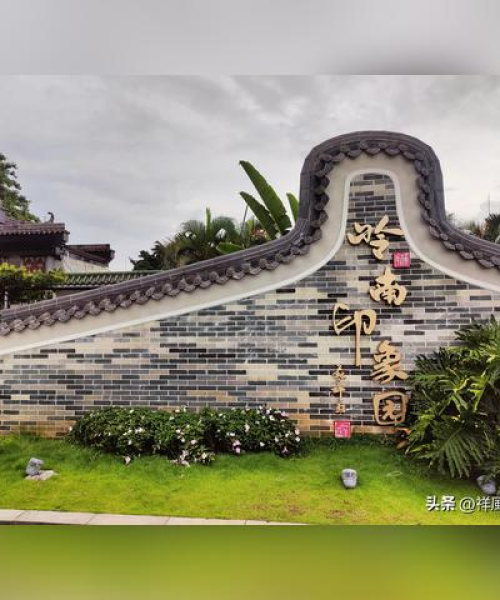 今日落雨美景与情感交织，雨中浪漫时刻最新视频欣赏