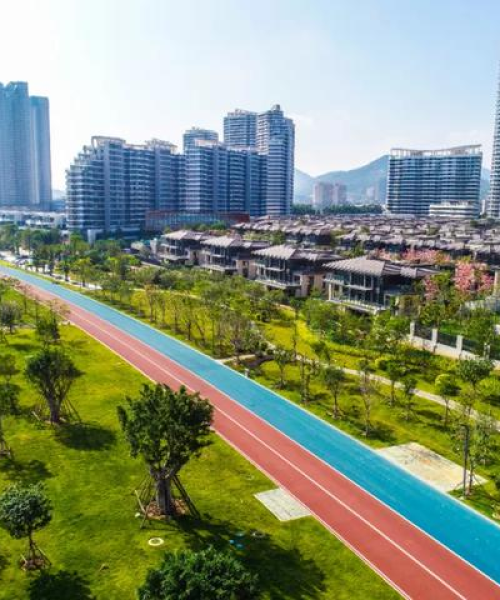 厦门岛外最新动态新闻速递