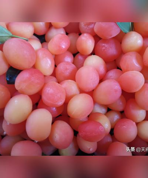 全球顶级进口水果排行榜，你不得不看的水果世界之最！