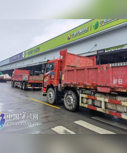 宁波最新政策重磅更新解读，回归新规定全面解析