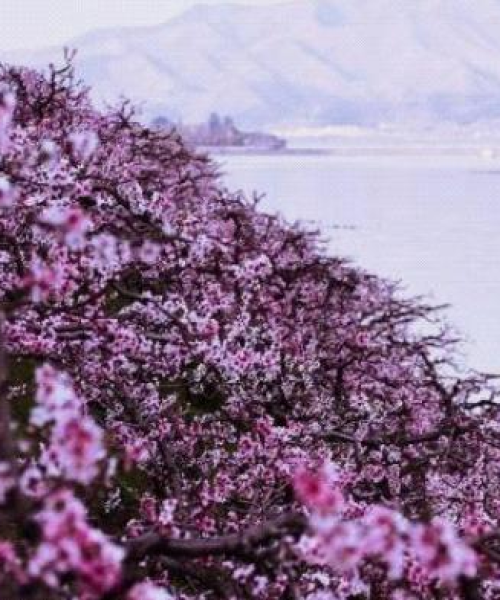 全球海湾大小排名揭秘，海洋的壮阔画卷惊艳探秘！