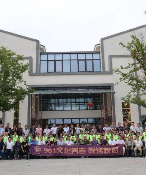 南京电视工厂排名前十解析，成功背后的秘诀揭秘