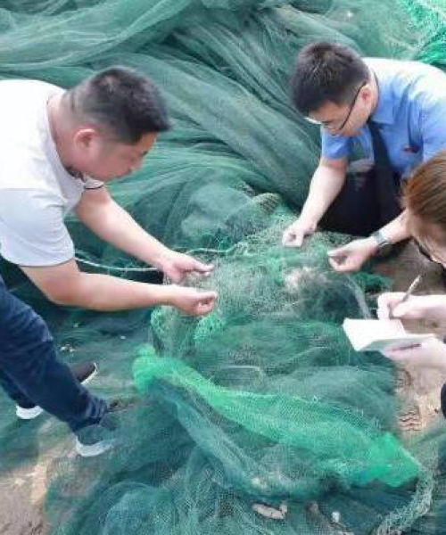 世界十大渔具榜单揭晓，探索海洋的秘密武器排行