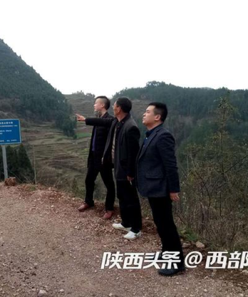 勉县最新疫情通告，坚定信心，科学防控，携手共筑家园安全屏障