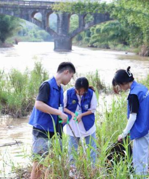 福建十大高校排名揭秘，解读福建高等教育实力与格局