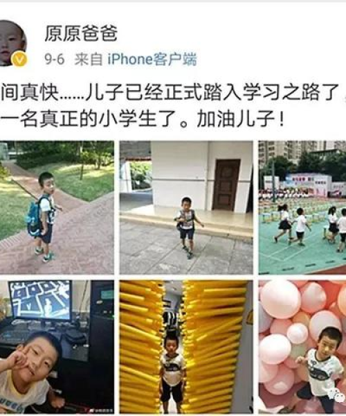 摔头婴事件真相大揭秘，深度解析背后的原因与应对之策