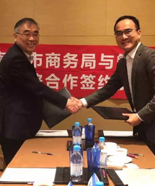 香港商务车排名榜揭晓，十大热门车型榜单全解析