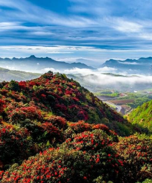 贵州春季旅游攻略，探索绚丽多彩的贵州美景