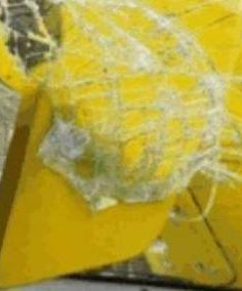 独家揭秘，保险公司排名榜单，哪家公司最值得信赖？