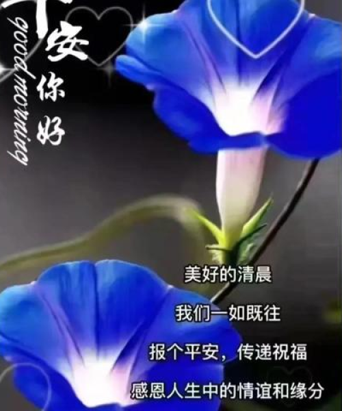早安励志语录，活力满溢的健康寄语
