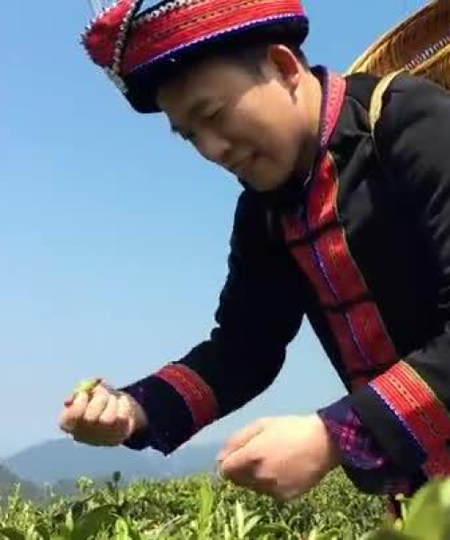 连南瑶山新闻聚焦，古老瑶族现代生活变迁揭秘