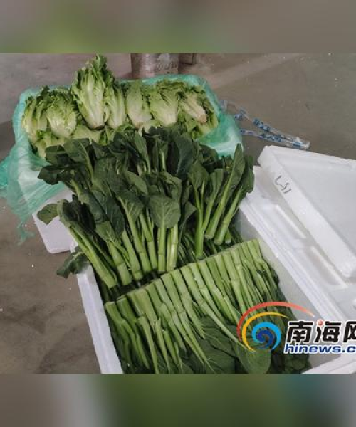海口最新疫情数据解读，全面应对，掌握防控措施
