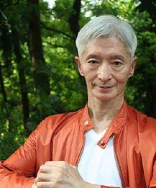 铁衣游戏攻略大全，轻松掌握技巧，迅速成为顶尖高手