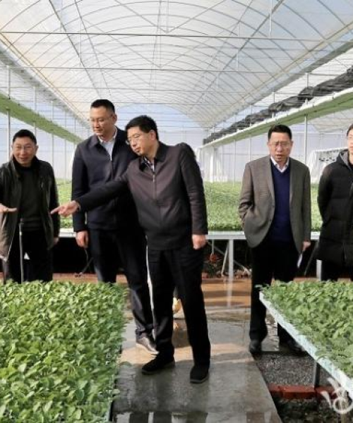 会泽高原明珠，绝美城市旅游攻略探索无限魅力