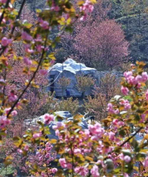 成都至汶川自驾游秘籍，最新指南与独家体验分享