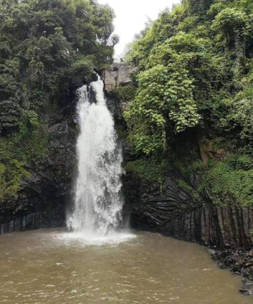 瑞丽私房菜馆排名TOP10，美食之旅的不二之选