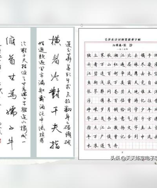 五年级书法教学探索，领略书法之美，独家教案分享