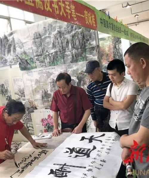 福建今日新动态揭秘，活力四溢的新面貌