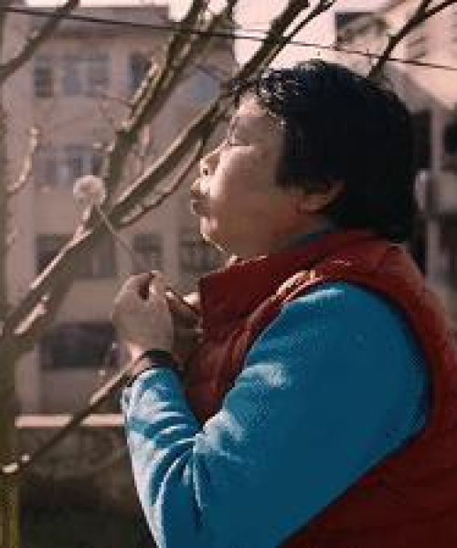 相濡以沫，情感共鸣的桥梁，最新视频在线观看平台
