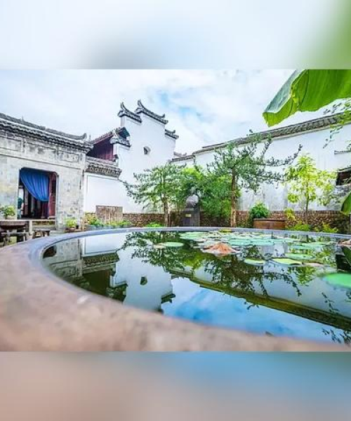 遂昌最新地图攻略路线，探索之旅尽享乐趣