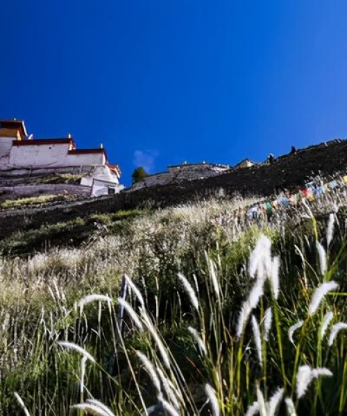 自驾西藏之旅，最新攻略一网打尽