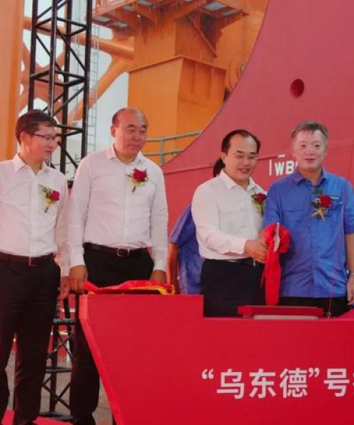 全球海洋运输巨头TOP100榜单揭晓，探索世界船公司排名