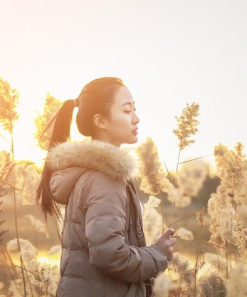 红尘旋律中的情感之旅，缘起缘落，悠扬深沉
