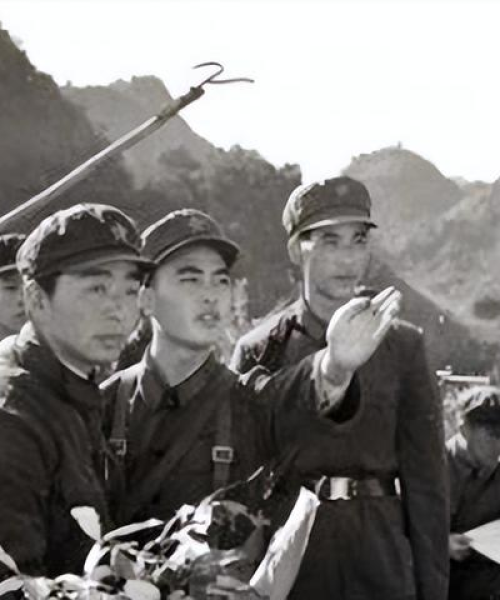 世界顶尖单兵战绩大揭秘，最强战士荣誉排名榜