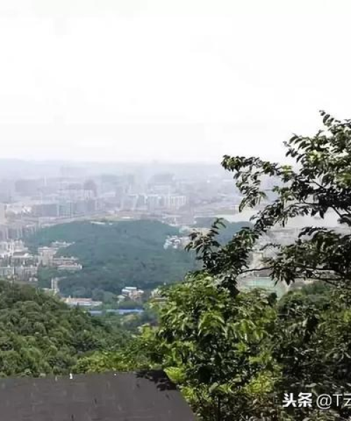 岳麓山旅游索道攻略图，一览众山之美，索道魅力之旅体验