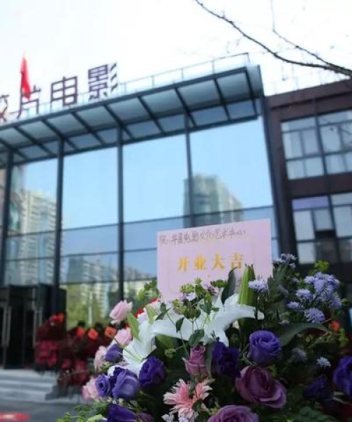 光影胶片平价TOP10，优质不贵的选择榜单
