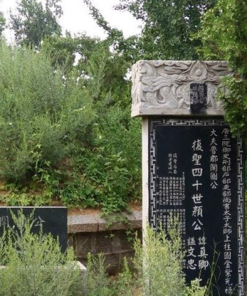 镇江龙山新闻聚焦，全新面貌揭秘