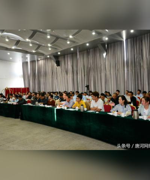 唐河最新新闻报道速递