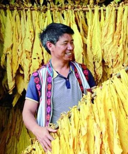 烟草市场巨头揭秘，价格排名前十的高端烟草品牌深度解析！