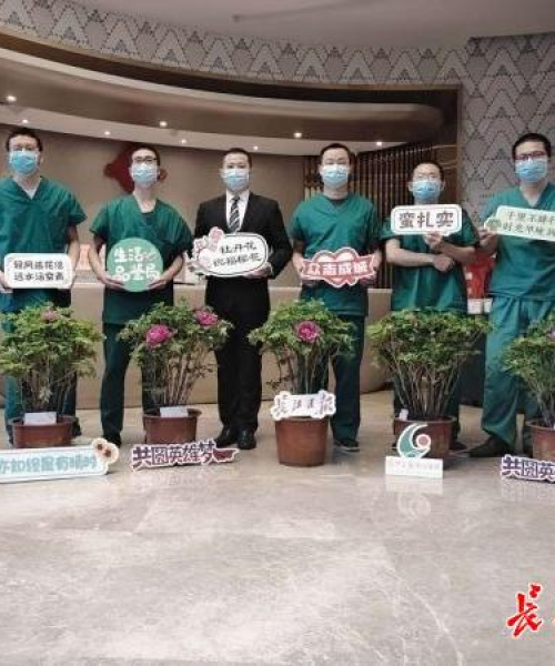 思乡盆艺拍卖公告更新，探寻艺术背后的情感与故事，精彩不容错过